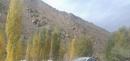 ���� ��� ��������