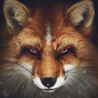 ������