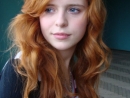 ���� 