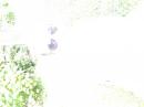 ���� im Garten