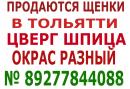 ���� ������ ���� ����� � ��� ������ 👫 . � ���� ��� ������ �� ���� ��������� � � ���� � ������ 🚗 . ������ ��� ��������� ������ � ������� ����� ��� ��� 🐕 . ���� ������ ������� ��������� �������� � ���� ������ http://vk.com/club65951517 ��