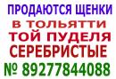 ���� ������ ���� ����� � ��� ������ 👫 . � ���� ��� ������ �� ���� ��������� � � ���� � ������ 🚗 . ������ ��� ��������� ������ � ������� ����� ��� ��� 🐕 . ���� ������ ������� ��������� �������� � ���� ������ http://vk.com/club65951517 ��