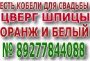 ���� ������ ���� ����� � ��� ������ 👫 . � ���� ��� ������ �� ���� ��������� � � ���� � ������ 🚗 . ������ ��� ��������� ������ � ������� ����� ��� ��� 🐕 . ���� ������ ������� ��������� �������� � ���� ������ http://vk.com/club65951517 ��