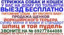 ���� ������ ���� ����� � ��� ������ 👫 . � ���� ��� ������ �� ���� ��������� � � ���� � ������ 🚗 . ������ ��� ��������� ������ � ������� ����� ��� ��� 🐕 . ���� ������ ������� ��������� �������� � ���� ������ http://vk.com/club65951517 ��