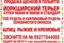 ���� ������ ���� ����� � ��� ������ 👫 . � ���� ��� ������ �� ���� ��������� � � ���� � ������ 🚗 . ������ ��� ��������� ������ � ������� ����� ��� ��� 🐕 . ���� ������ ������� ��������� �������� � ���� ������ http://vk.com/club65951517 ��