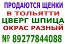 ���� ������ ���� ����� � ��� ������ 👫 . � ���� ��� ������ �� ���� ��������� � � ���� � ������ 🚗 . ������ ��� ��������� ������ � ������� ����� ��� ��� 🐕 . ���� ������ ������� ��������� �������� � ���� ������ http://vk.com/club65951517 ��
