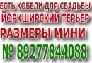 ���� ������ ���� ����� � ��� ������ 👫 . � ���� ��� ������ �� ���� ��������� � � ���� � ������ 🚗 . ������ ��� ��������� ������ � ������� ����� ��� ��� 🐕 . ���� ������ ������� ��������� �������� � ���� ������ http://vk.com/club65951517 ��