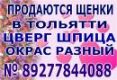 ���� ������ ���� ����� � ��� ������ 👫 . � ���� ��� ������ �� ���� ��������� � � ���� � ������ 🚗 . ������ ��� ��������� ������ � ������� ����� ��� ��� 🐕 . ���� ������ ������� ��������� �������� � ���� ������ http://vk.com/club65951517 ��