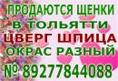 ���� ������ ���� ����� � ��� ������ 👫 . � ���� ��� ������ �� ���� ��������� � � ���� � ������ 🚗 . ������ ��� ��������� ������ � ������� ����� ��� ��� 🐕 . ���� ������ ������� ��������� �������� � ���� ������ http://vk.com/club65951517 ��
