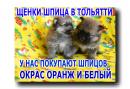 ���� ������ ���� ����� � ��� ������ 👫 . � ���� ��� ������ �� ���� ��������� � � ���� � ������ 🚗 . ������ ��� ��������� ������ � ������� ����� ��� ��� 🐕 . ���� ������ ������� ��������� �������� � ���� ������ http://vk.com/club65951517 ��