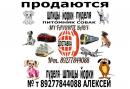 ���� ������ ���� ����� � ��� ������ 👫 . � ���� ��� ������ �� ���� ��������� � � ���� � ������ 🚗 . ������ ��� ��������� ������ � ������� ����� ��� ��� 🐕 . ���� ������ ������� ��������� �������� � ���� ������ http://vk.com/club65951517 ��
