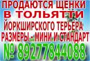 ���� ������ ���� ����� � ��� ������ 👫 . � ���� ��� ������ �� ���� ��������� � � ���� � ������ 🚗 . ������ ��� ��������� ������ � ������� ����� ��� ��� 🐕 . ���� ������ ������� ��������� �������� � ���� ������ http://vk.com/club65951517 ��