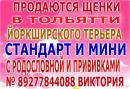 ���� ������ ���� ����� � ��� ������ 👫 . � ���� ��� ������ �� ���� ��������� � � ���� � ������ 🚗 . ������ ��� ��������� ������ � ������� ����� ��� ��� 🐕 . ���� ������ ������� ��������� �������� � ���� ������ http://vk.com/club65951517 ��