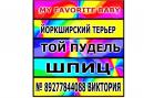 ���� ������ ���� ����� � ��� ������ 👫 . � ���� ��� ������ �� ���� ��������� � � ���� � ������ 🚗 . ������ ��� ��������� ������ � ������� ����� ��� ��� 🐕 . ���� ������ ������� ��������� �������� � ���� ������ http://vk.com/club65951517 ��