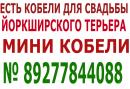���� ������ ���� ����� � ��� ������ 👫 . � ���� ��� ������ �� ���� ��������� � � ���� � ������ 🚗 . ������ ��� ��������� ������ � ������� ����� ��� ��� 🐕 . ���� ������ ������� ��������� �������� � ���� ������ http://vk.com/club65951517 ��