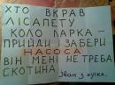 ���� XD