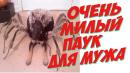 ���� https://youtu.be/x9K54Z2nw3g