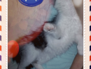 ���� ��� ��������