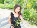 ���� 