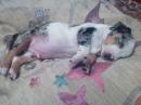 ���� This is my boy! 