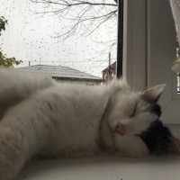 ������