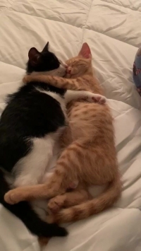 ������