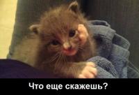������