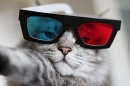 ���� 3D