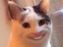 ���� 
