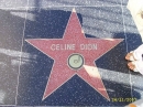 ���� � � Hollywoode