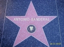 ���� � � Hollywoode