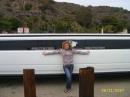 ���� � � Hollywoode