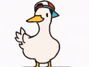 ���� Duck