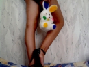 ���� 