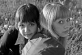 beloved friends