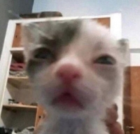 ������